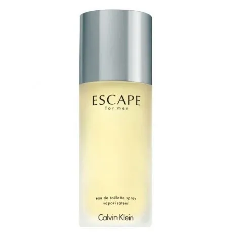 CALVIN KLEIN ESCAPE MEN EDT 100 мл | Красота и здоровье