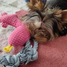 Pet-Toys Dog Toy Puppy Chew Small Dogs Resistance Teeth-Cleaning Fleece 1pcs for Bite