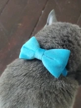 Collar de gato de terciopelo con lazo liso para cachorro, Chihuahua, con campana, hebilla de seguridad ajustable, pajarita para gatos, accesorios para mascotas