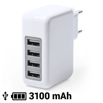 

USB Wall Charger 3100 mAh 145162