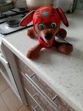 Figuras de acción de la patrulla canina para niños, juguete de peluche suave de 12 y 20cm con seguimiento de perros, modelo Apolo