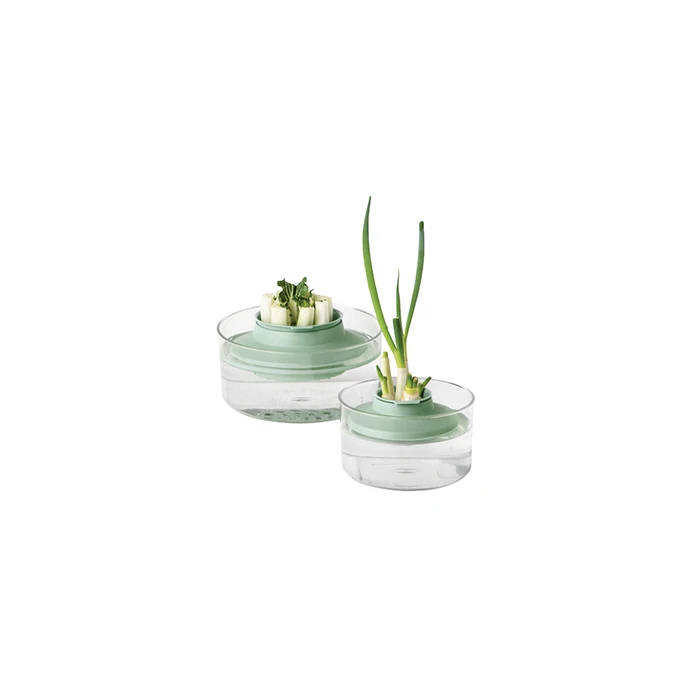 Herbs and Vegetables Regrow Kit, TASTY+ - Dark Grey - 8710755124402 Brabantia_96dpi_1181x787px_E_NR-15474