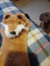 Peluche suave de cebra con sonido de tigre para mascotas, juguete para mascotas
