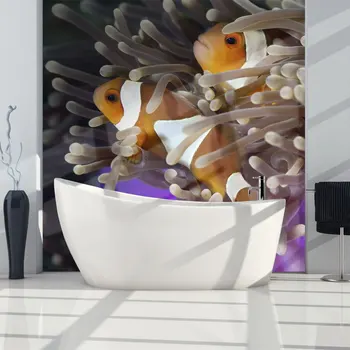 

Wall mural-clownfish-350x270 cm