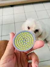 GU10 E27 Led-Lamp Bombillas Led-Spotlight E14 MR16 220V 10pcs/Lot 2835 SMD 240V 48 60-80