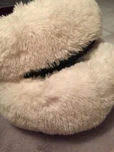 Camas redondas para gatos, casa de felpa suave y larga, La mejor cama de perro para canasta para perros, productos para mascotas, cojín, cama para gato, esterilla para animales, sofá para dormir