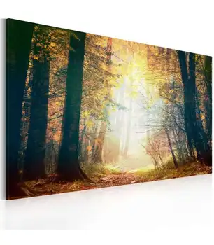 

Picture-autumn beauty