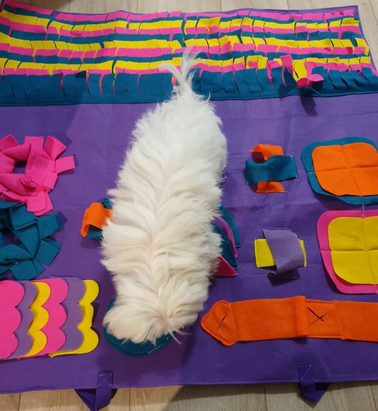 Snuffle Mat | Snuffle Mat for Dogs | Best Snuffle Mat for Dogs photo review
