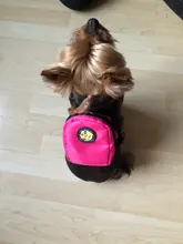 Dog-Backpack Puppy-Harness-Bag Hiking Outdoor Camping Nylon with Leash Pet-Cat Environmentally