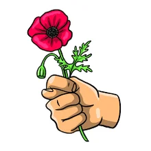 Reloj de pulsera de plástico con dibujos animados para mujer, cronógrafo deportivo con correa transparente, informal, de cuarzo