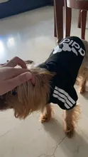 Adidog-ropa para perros medianos y pequeños, Sudadera con capucha de algodón, chaqueta cálida de dos patas, 2020
