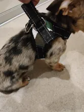 Durable Reflective Pet Dog Harness For Dogs Adjustable Big Dog Harness Pet Walking Harness