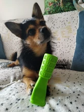 Dog-Toys Dog-Accessories Puppy Chew Interactive-Rubber Cleaning Supplier Dropship Small