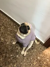 Ropa de invierno para perros pequeños, abrigo cálido para perros y gatos, ropa para perros, Bulldog Francés, Pug
