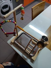 Perch-Stand Ladder Feeder Playground Bird Parrot with Wooden Platform Gym Cups Interactive-Toys