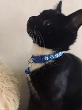 Collier-Collar para gatos con estampado de pata, correa de nailon ajustable para el cuello, para gatos
