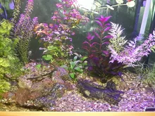 Aquarium-Lights Submersible Diving-Lighting Remote-Control-Lamp Waterproof LED RGB Amphibious