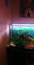Lily-Pipe AQUARIUM-FILTER Planted Outflow Surface-Skimmer Stainless-Steel with And 