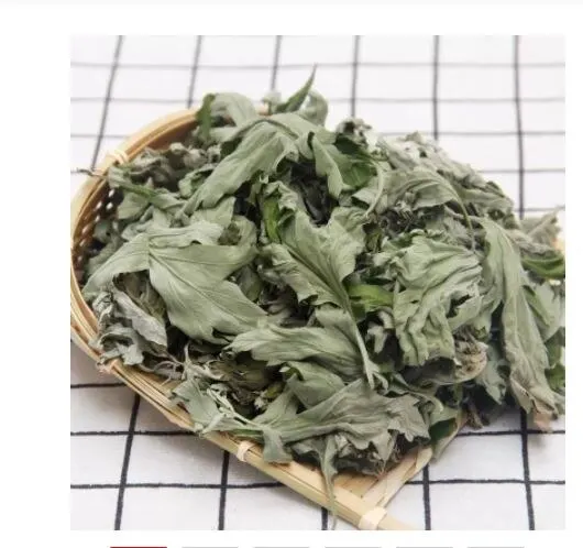 Herbal Tea Wormwood Disease Prevention Natural Dried Artemisia A