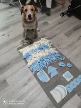 Toys Feeder Food-Intelligence-Toy Puppy Slow-Dispensing Dog-Puzzle Training-Games Interactive