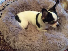 Sofa-Basket House-Beds Cat-Bed Dog-Kennel Deep-Sleeping-Bag Dogs Washable Small Large