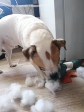 Dog-Toys Chew-Supplies Puppy Sound Dogs Wild Plush Cleaning Teeth Cartoon for Goose Resistance-To-Bite-Squeaky