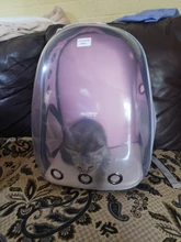 Bolsas de transporte para mascotas, mochila para perro y gato, espacio de viaje, jaula para transporte de mascotas, Transportín para gatos