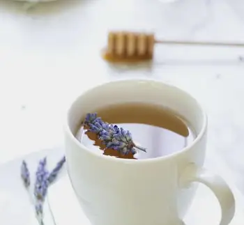 

Dried Lavender Flower Tea Healthy Natural Helps Rekaxing Made in Turkey Fast Shipping