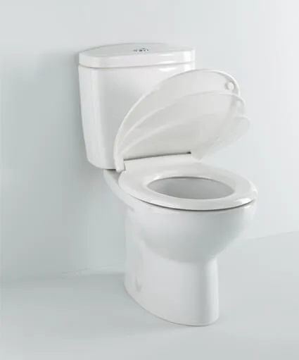 Top and toilet seat with cushioned drop-Compatible Victoria Rock | Дом и сад