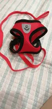 Vest Harness Puppy-Dogs-Collar Cat Adjustable Walking Leash Lead Small for Mesh Cat-Pet