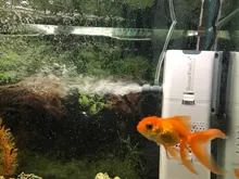 Bomba de filtro 4 en 1 para acuario, generador interno de oxígeno, de aire, de olas, sumergible para pecera