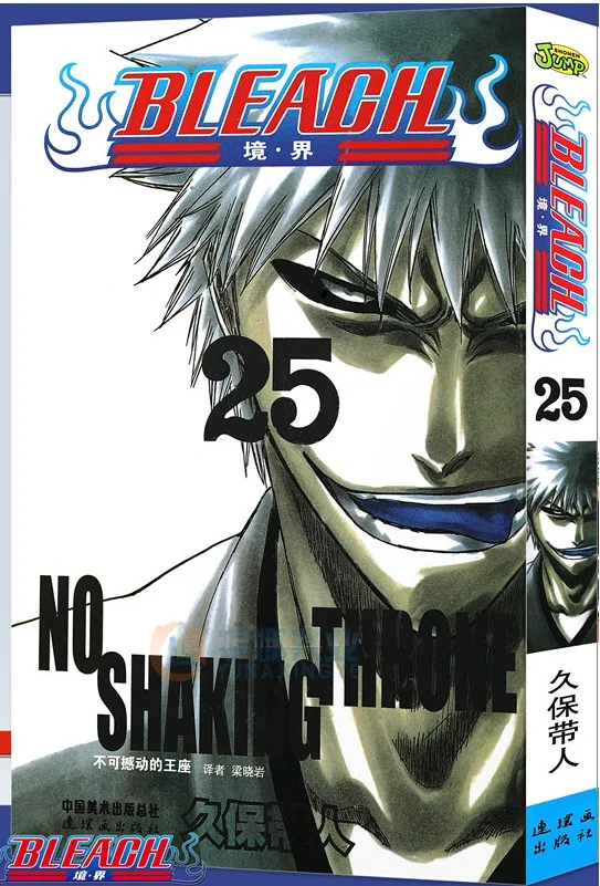 

BLEACH Volume 25 Japan Youth Teens Adult Cartoon Comic Anime Manga Libro Chinese Learning Reading Story Book