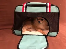 Backpack Dog-Carrier-Bag Travel-Bag Dogs Chihuahua Pet-Puppy Yorkie Cats Small Breathable