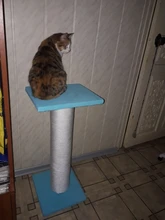 Cat-Toy-Stick Toys Mouse-Cage Bell Feather-Wand Pet-Supplies Random-Color Artificial