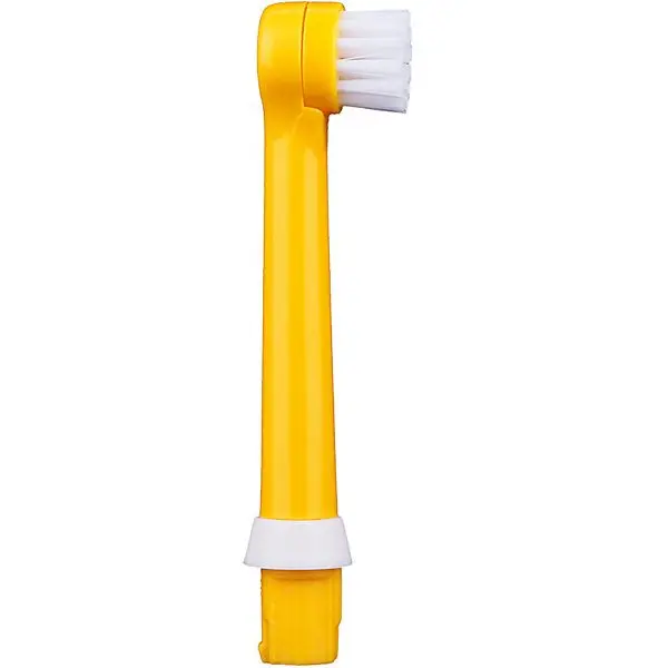 Насадки CS Medica RP-62-G для зубной щетки CS Medica Kids CS-462-P, 2 штуки, оранжевые