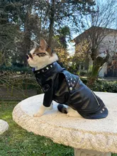 Pet Clothing Costumes Coat Kitten-Outfits Yorkshire Puppy Winter Warm Autumn for Chihuahua