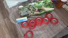 ALLSOME – Máquina para atar plantas de jardín y 10 rollos de cinta, tapenador para jardín con 10 rollos de cinta para pimienta, vegetales, verduras, frutas, plantas florales