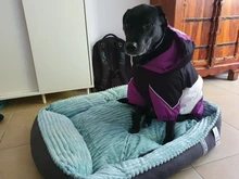 Bed Pet-Bed Labradors-House HOOPET Small Large Soft Warm Winter for Medium Big