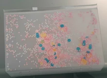 Hojas sueltas Kawaii A5 A6, recambio de papel, carpeta espiral, índice de páginas internas, planificador diario semanal mensual, Agenda, 2021, 45 hojas