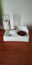 Pet-Supply Dish-Bowls Raised-Stand Pet-Cat-Bowl Water-Dispenser Drinking Automatic Dog