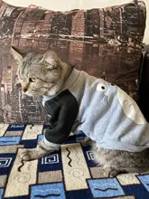 Cartoon Cat Costume Cute Cozy Pet Clothes for Cats Katten Kedi Hoodie Mascotas Mascotas