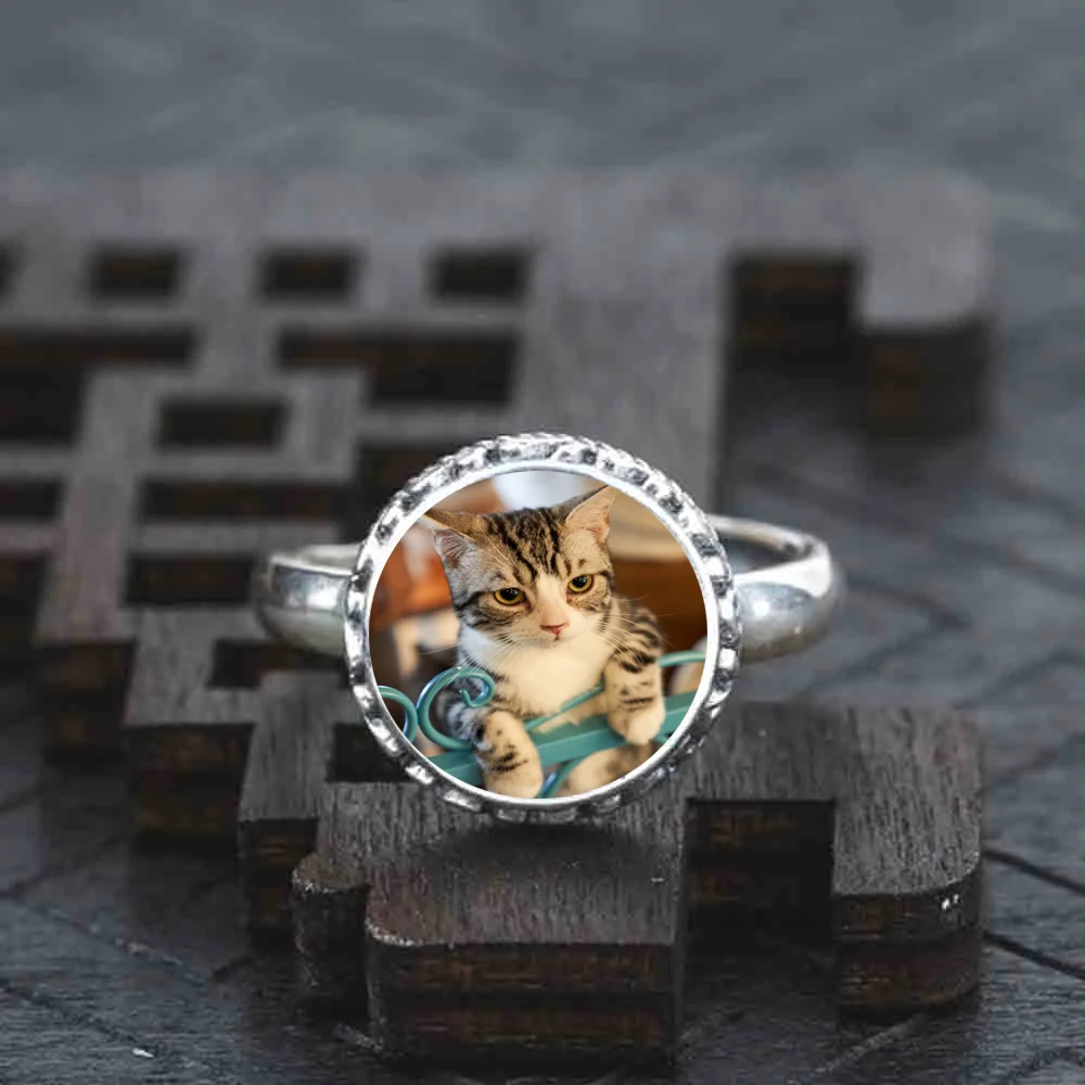 925 пробы Серебряное кольцо коричневый полосатый Кот ювелирные изделия