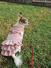 Warm Pet Dog Dress Vest Jacket For Dogs Cats Winter Chihuahua Yorkies Clothes Maltese