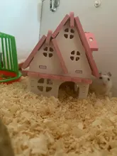 Sleeping-House Hamster Nest Animal-Supplies Small Luxury Home Cage Pet Wooden Hideout