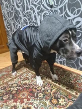 Dog-Coat Winter HOOPET for Dogs Clothing Warm Christmas Big