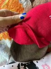 Sudadera con capucha para Perro, Ropa de invierno para mascotas, abrigo, Chaqueta de algodón, Ropa para Bulldog Francés