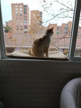 Cama que cuelga de la ventana para mascotas, 20kg, hamaca para gato y mascota, asiento tipo estante