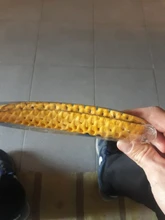 FootMaster-plantillas elásticas amortiguadoras para zapatos, plantillas transpirables de panal de abeja para zapatillas, plantilla deportiva de espuma viscoelástica, Unisex