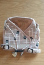 Leash-Set Harness-Leads Mesh Dogs Vest Puppy-Reflective Small-Dogs Kitten Nylon And 