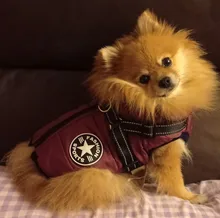 Chaleco con arnés para mascota ropa de cachorro chaqueta para perro impermeable ropa cálida para mascotas de invierno para perros pequeños Shih Tzu Chihuahua Pug abrigo